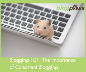blog consistently