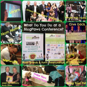 BlogPaws Conferences