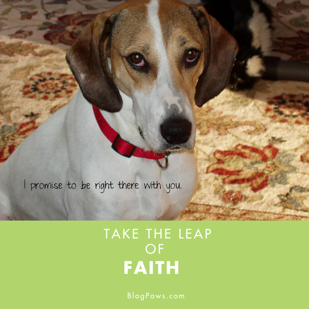 Take the Leap of Faith
