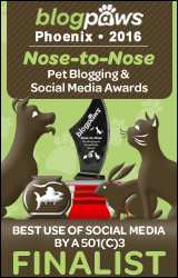 BEST USE of SOCIAL MEDIA by 501c3 Nose-to-Nose 2016 - FINALIST badge