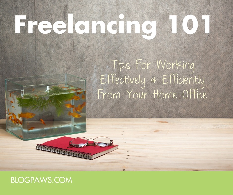 Freelancing 101: Tips For Work From Home Pet Bloggers