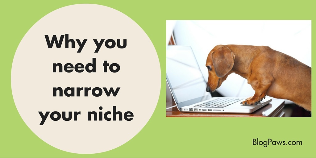 Freelancing 101: Narrow Your Pet-Centric Niche