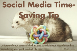 Social Media Time Management For Pet Bloggers