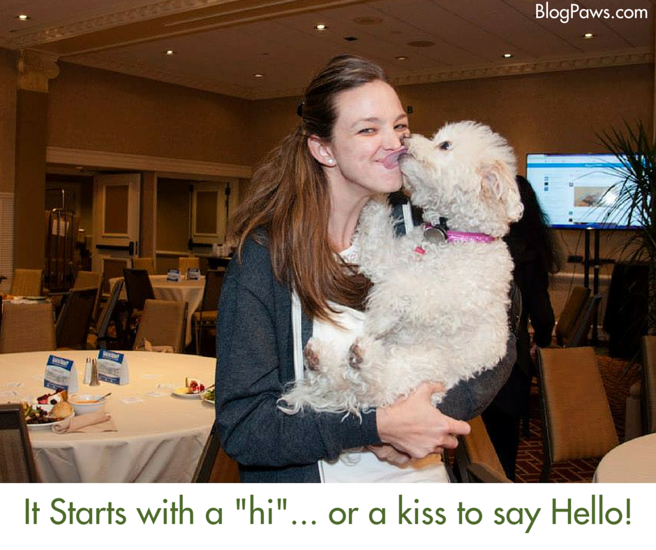 Make Each Session a Win-Win at BlogPaws 2016