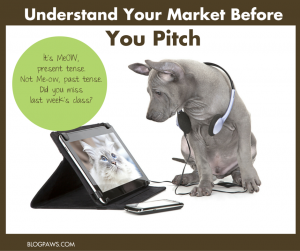 Know Your Market Before You Pitch