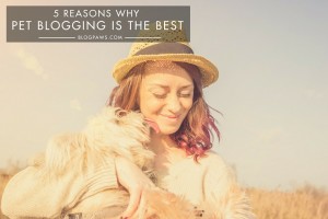 5 Reasons Why Being a Pet Blogger is the Best HERO
