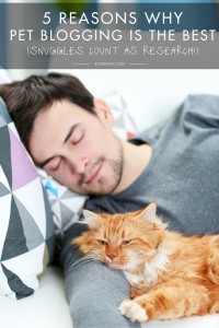5 Reasons Why Being a Pet Blogger is the Best