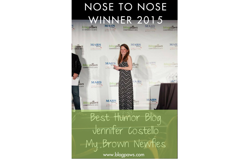 My Brown Newfies Best Humor Blog 2015 Nose to Nose Awards at BlogPaws
