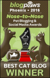 BlogPaws 2016 Nose-to-Nose Awards - Best Cat Blog Winner
