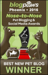 BlogPaws 2016 Nose-to-Nose Awards - Best New Pet Blog Winner