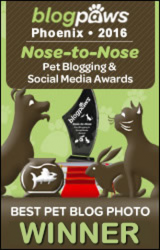 BlogPaws 2016 Nose-to-Nose Awards - Best Pet Blog Photo Winner
