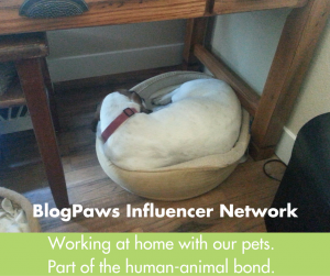 BlogPaws Influencer Network