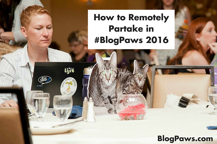 How to Remotely Partake in #BlogPaws 2016