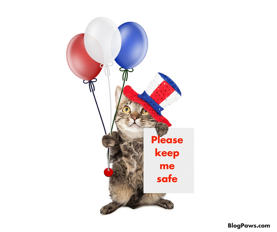 Wordless Wednesday Blop Hop: Fourth of July Pet Safety