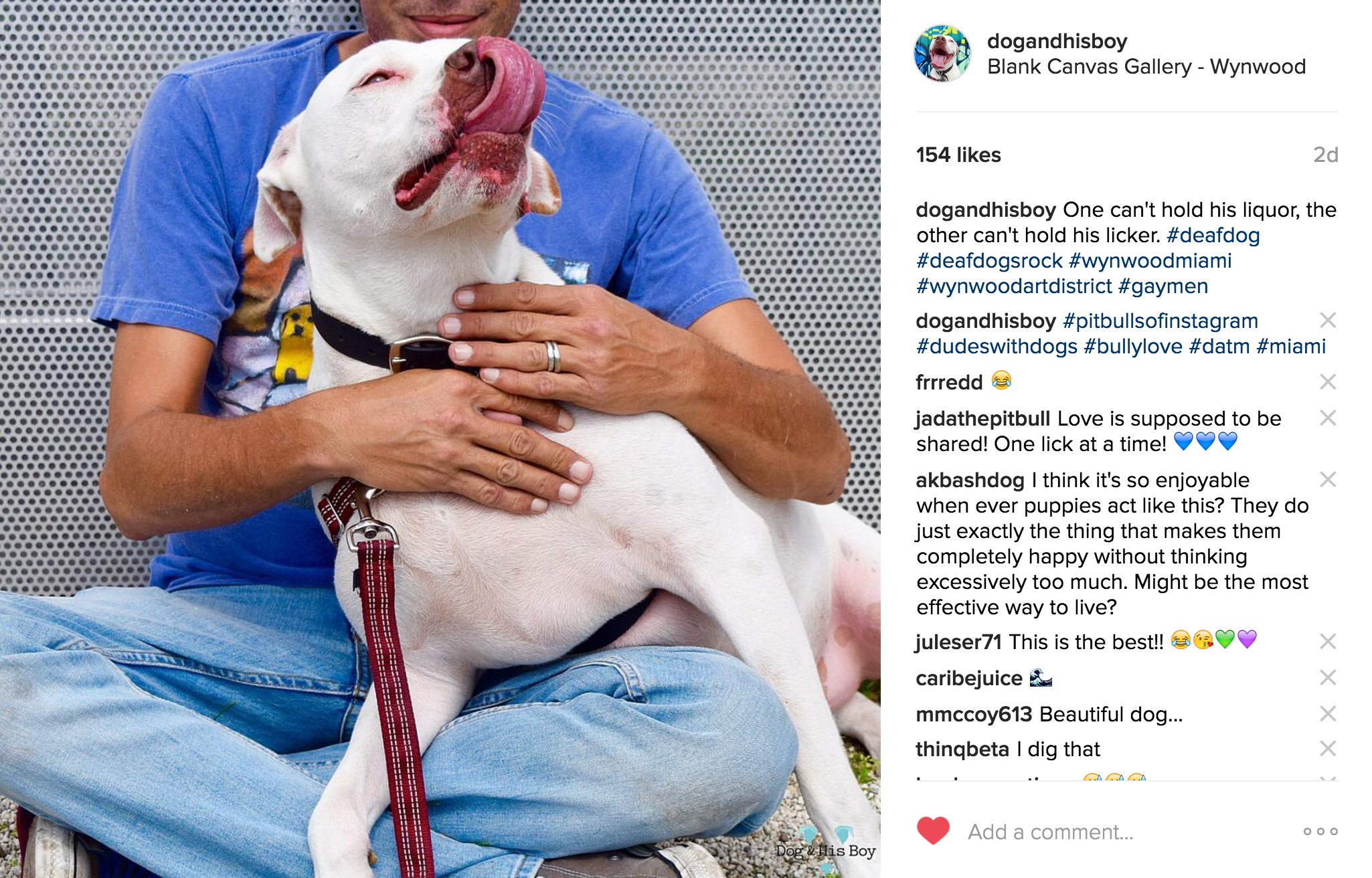Use Hashtags to Connect on Instagram - BlogPaws