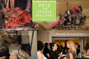 pets and people galore at BlogPaws 2016