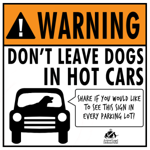 Dogs hot cars