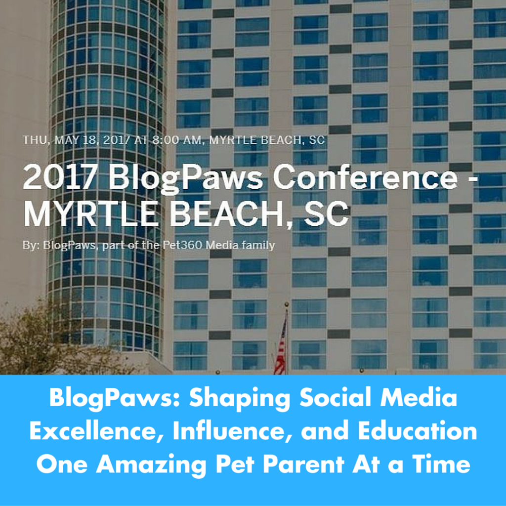 Shaping Social Media Excellence, Influence and Education One Amazing Pet Parent At a Time