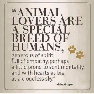 Animal Lovers are a Special Breed of Humans