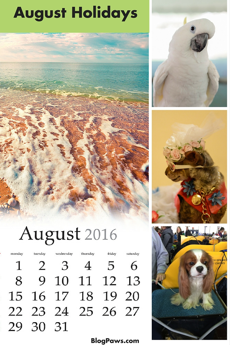 Wordless Wednesday Blog Hop: August Holidays