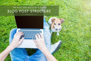 Blog post structure tips and tricks