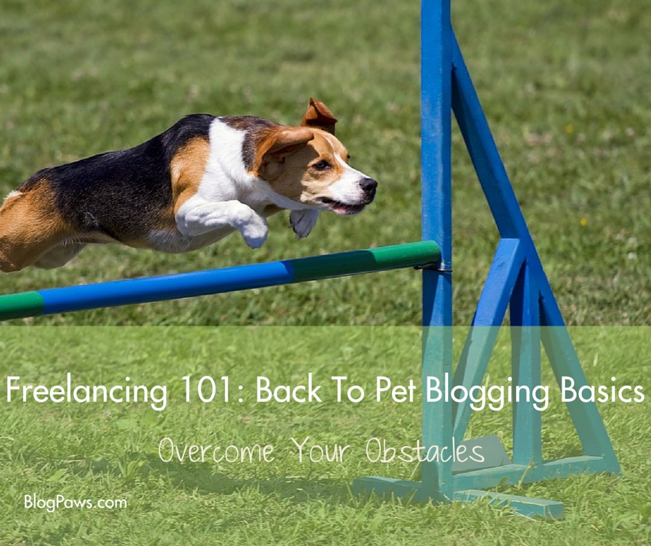 Freelancing 101: Back To Pet Blogging Basics