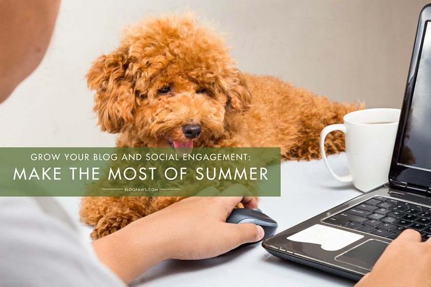 Grow your blog and social engagement by making the most of the summer slow-down