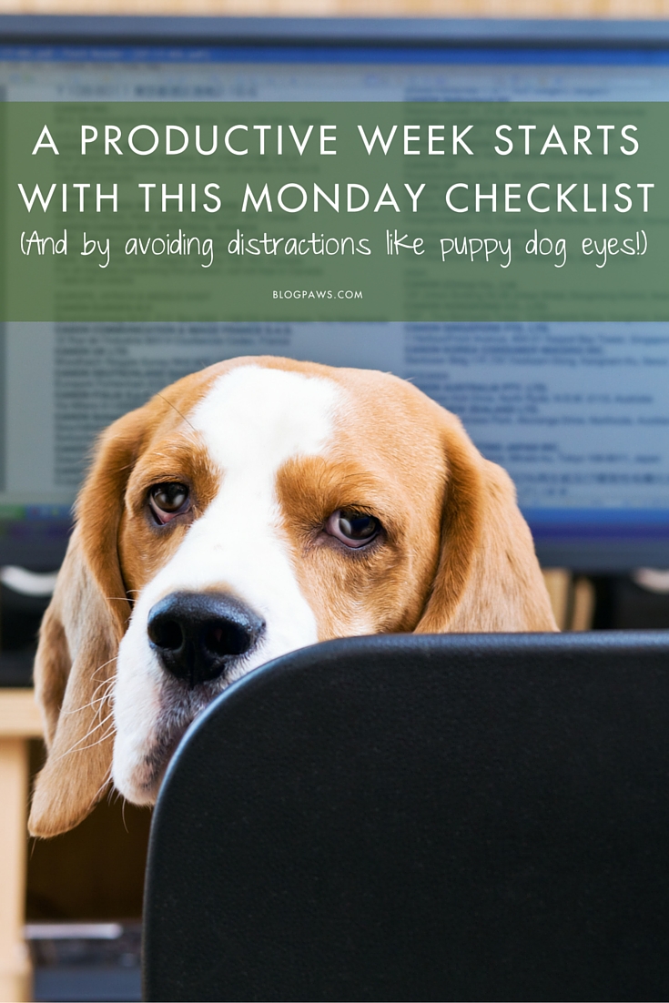 The Monday Pet Blogging Checklist to Kick Your Week Off Right