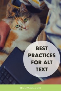 Best Practices for Alt Text