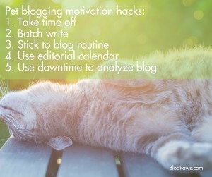 Pet blogging motivation hacks