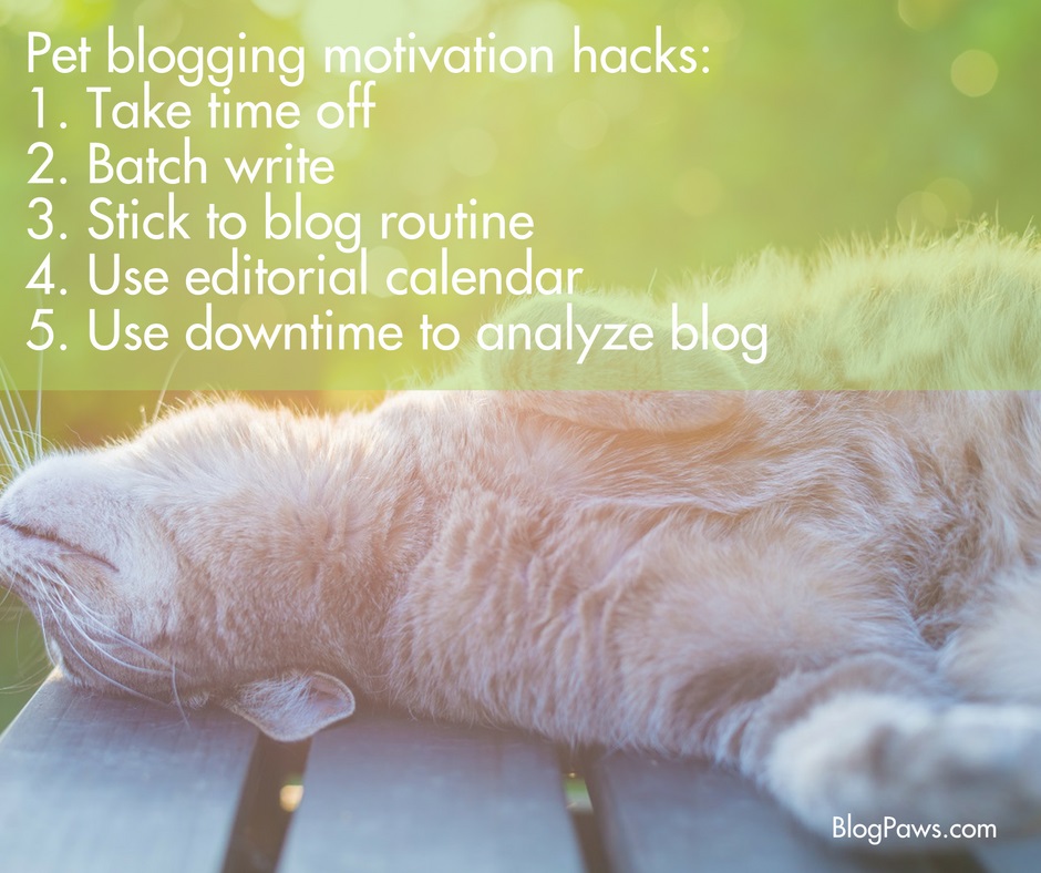 Pet blogging motivation hacks