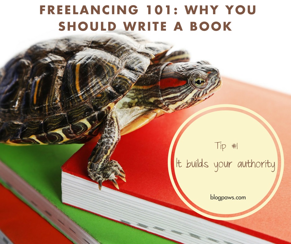 write a book to build your pet blogger authority