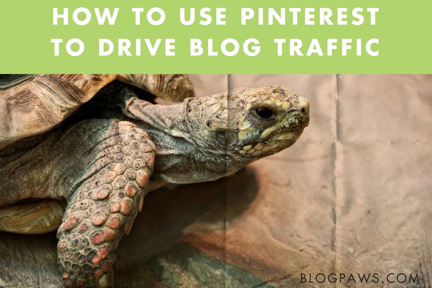 How Bloggers Can Use Pinterest to Drive Blog Traffic