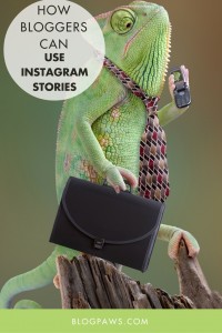 How Bloggers Can Use Instagram Stories For Success