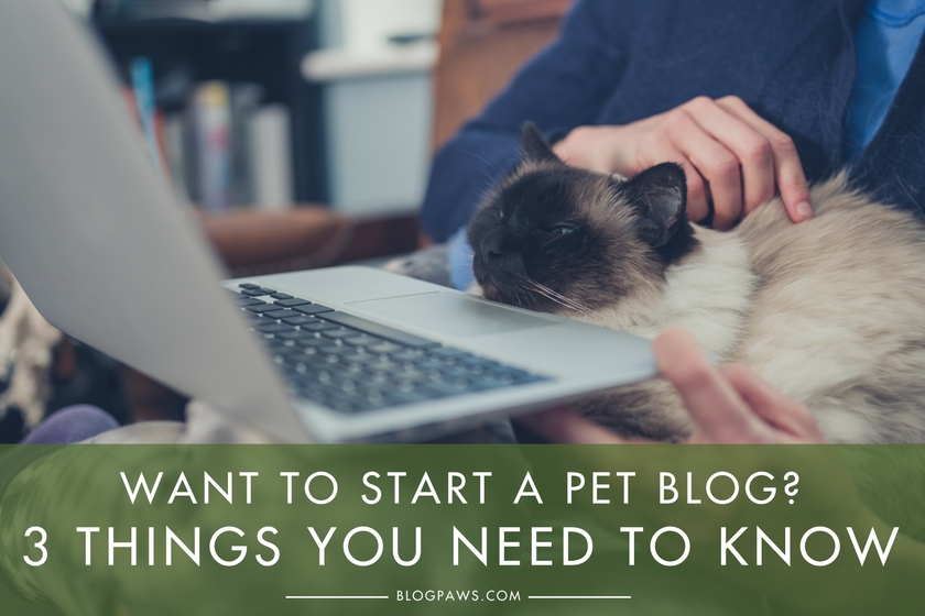 Want to Start a Pet Blog- Here are 3 Things You Need to Know