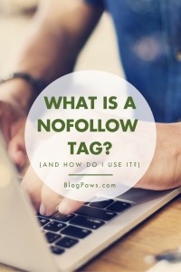What is a nofollow tag?