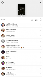 Instagram Stories video viewers