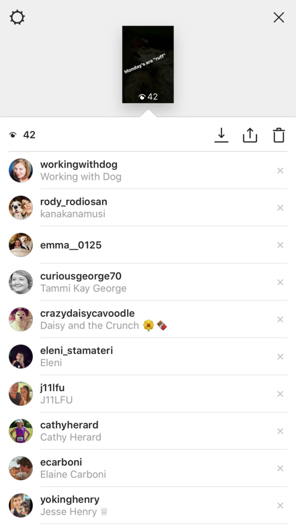 Instagram Stories video viewers