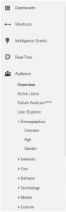 Know your blog's demographics by looking at Google Analytics