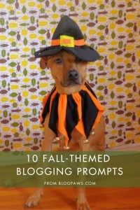 10 Fall Blogging Prompts | BlogPaws.com