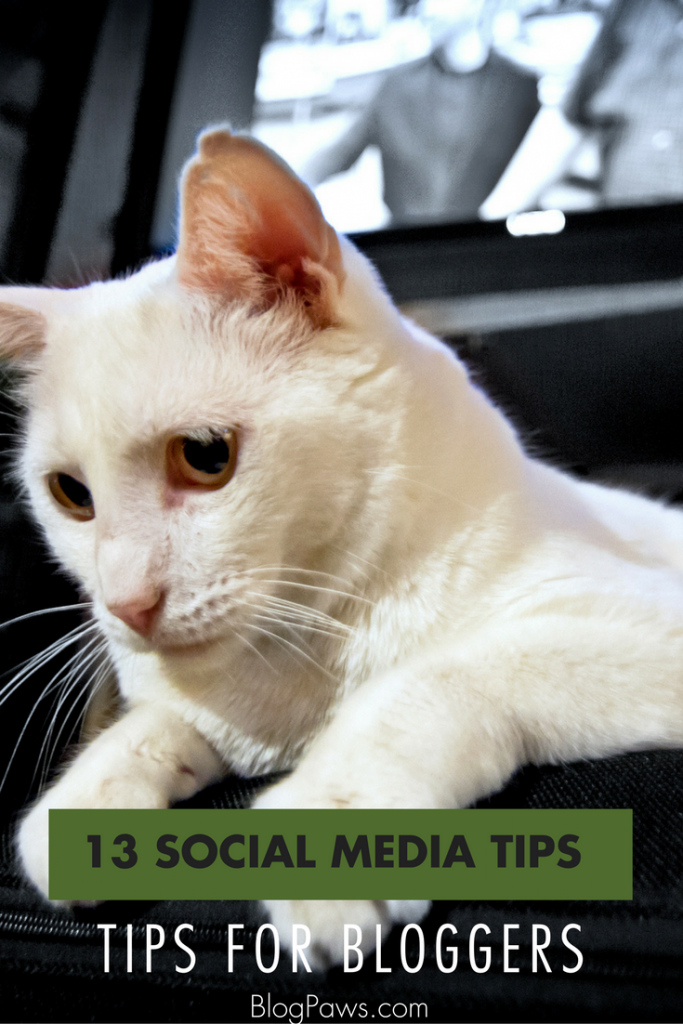 Social Media Tips for Bloggers