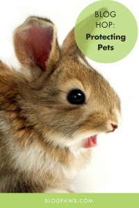Protecting Pets blog hop