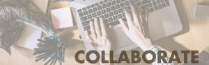 BlogPaws Collaborate