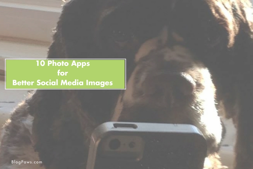 10 Photo Apps for Better Social Media Images