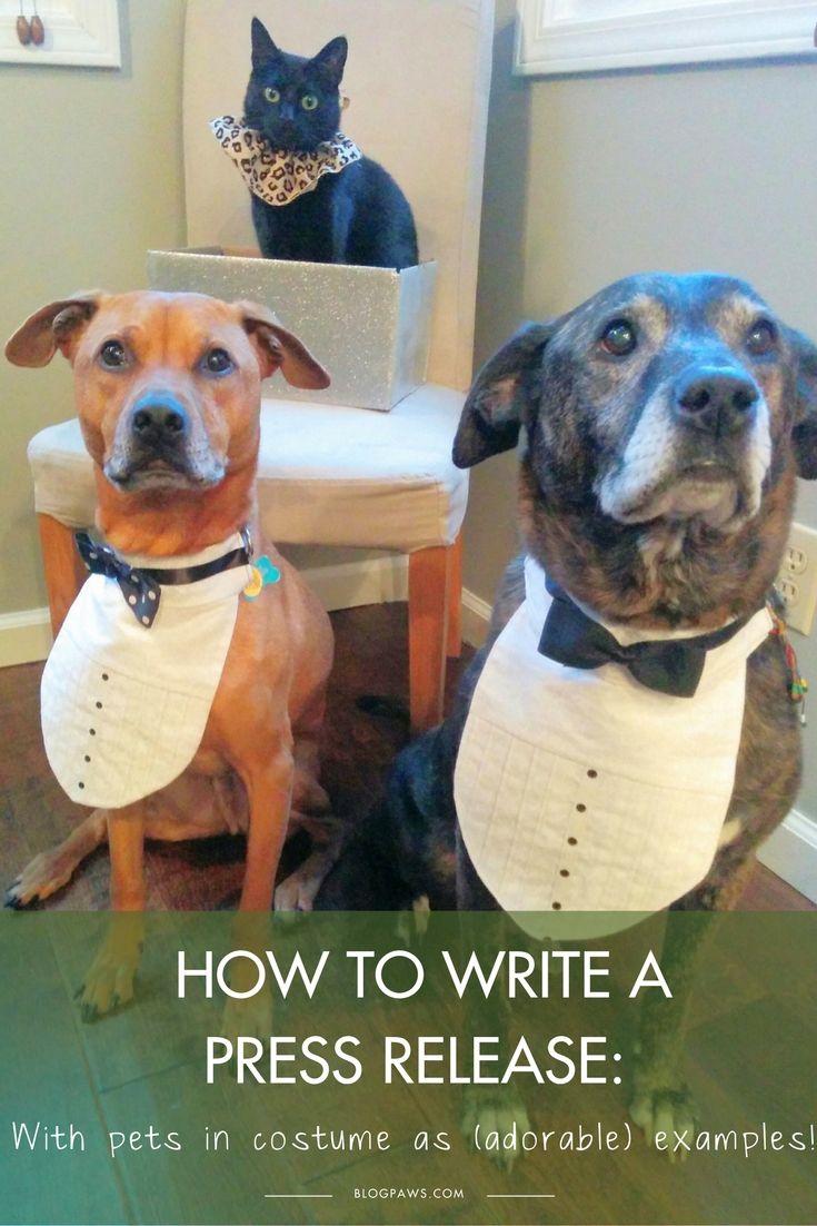 How to Write a Press Release | BlogPaws.com