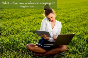 What is your role in influencer campaigns-
