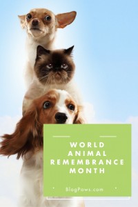 World Animal Remembrance Month