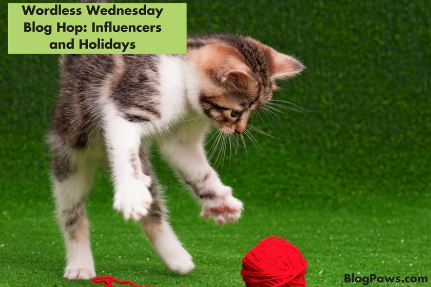 Wordless Wednesday Blog Hop: Influencers and Holidays