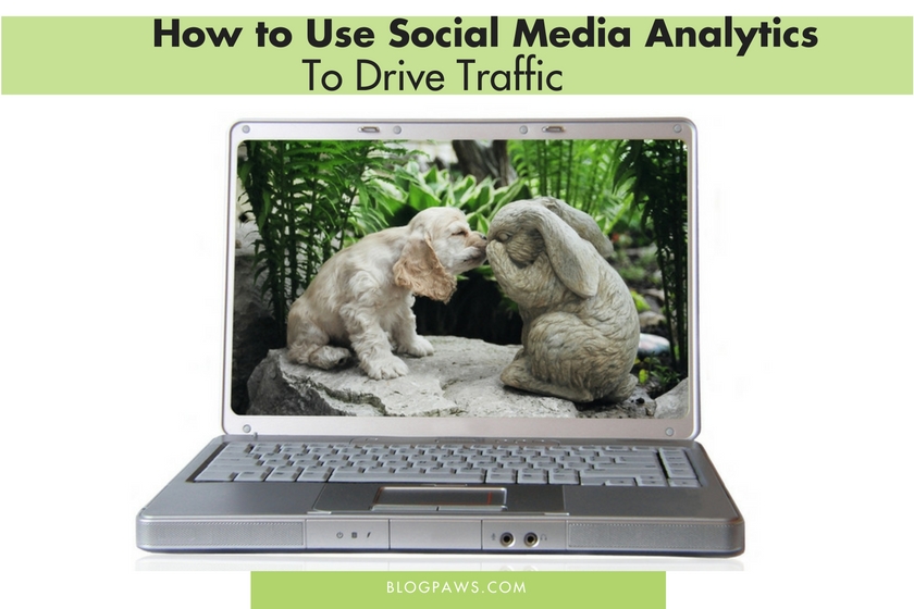 How to Use Social Media Analytics to Drive Traffic