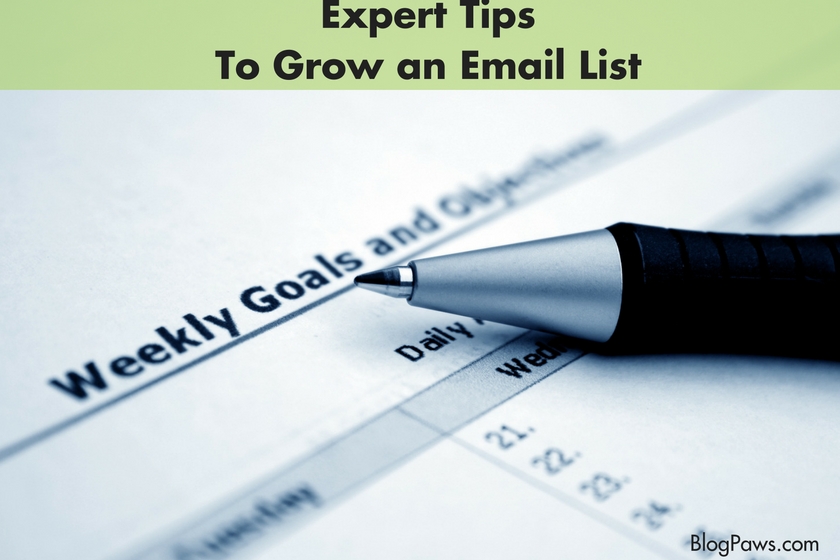 Experts Tips to Grow an Email List